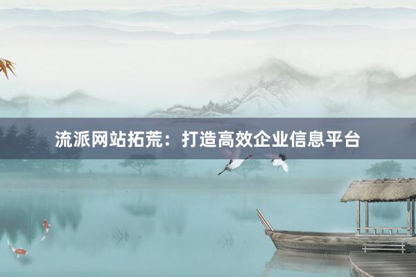 流派网站拓荒：打造高效企业信息平台