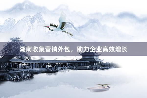 湖南收集营销外包，助力企业高效增长